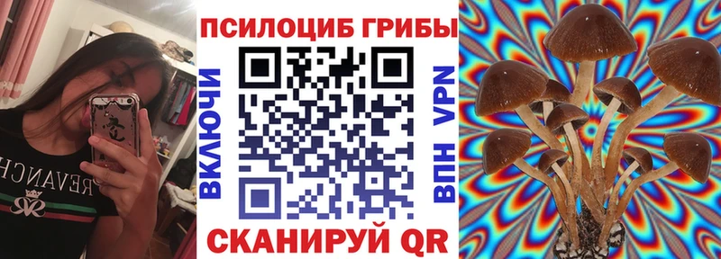Галлюциногенные грибы мицелий  OMG как зайти  Верхний Тагил  где найти  